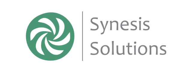 Synesis Solutions
